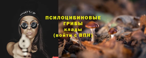 крисы Красноперекопск
