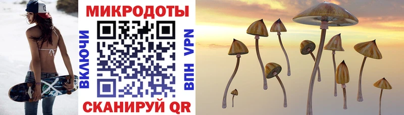 Псилоцибиновые грибы Cubensis  Купить где  Арсеньев 